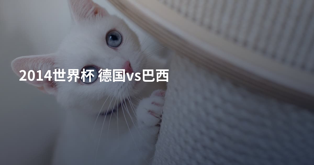 2014世界杯 德国vs巴西