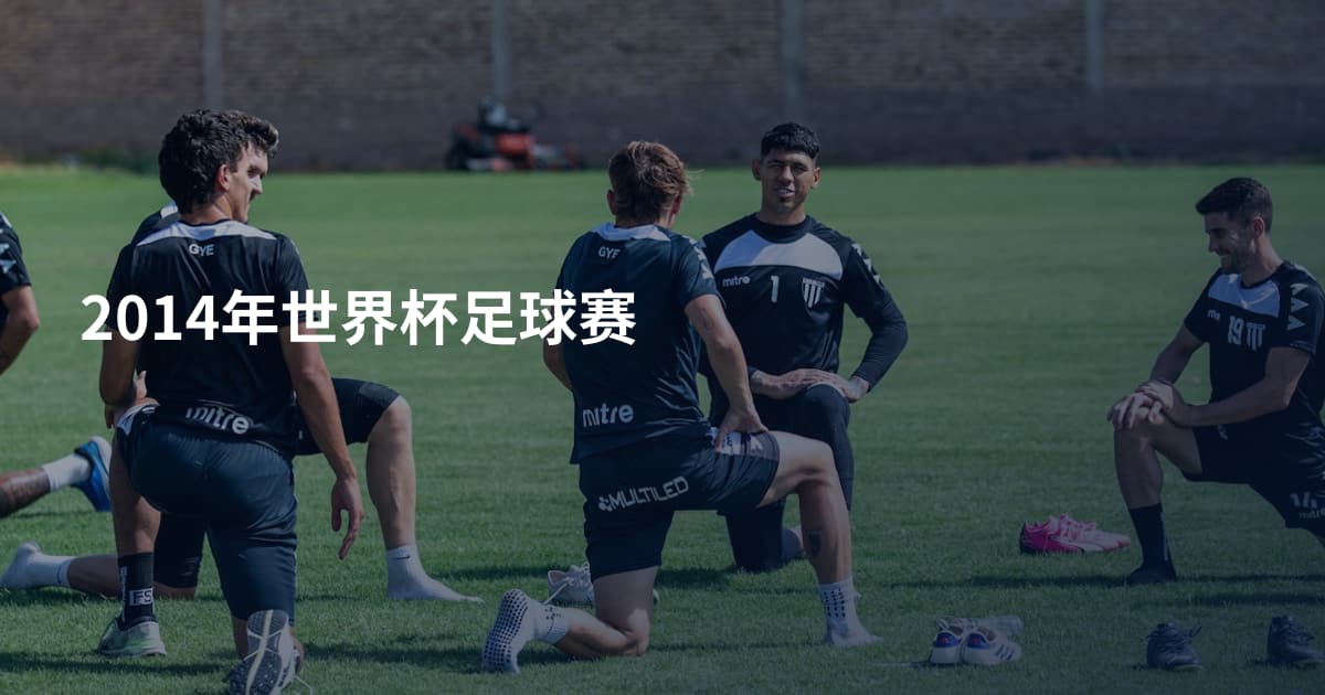 2014年世界杯足球赛