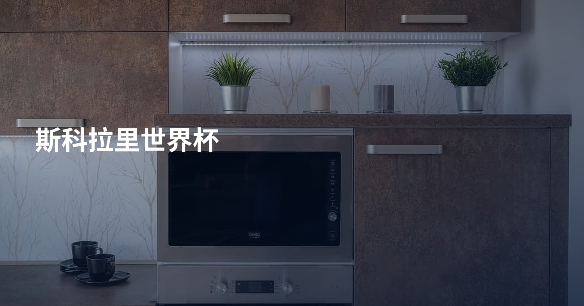 斯科拉里世界杯