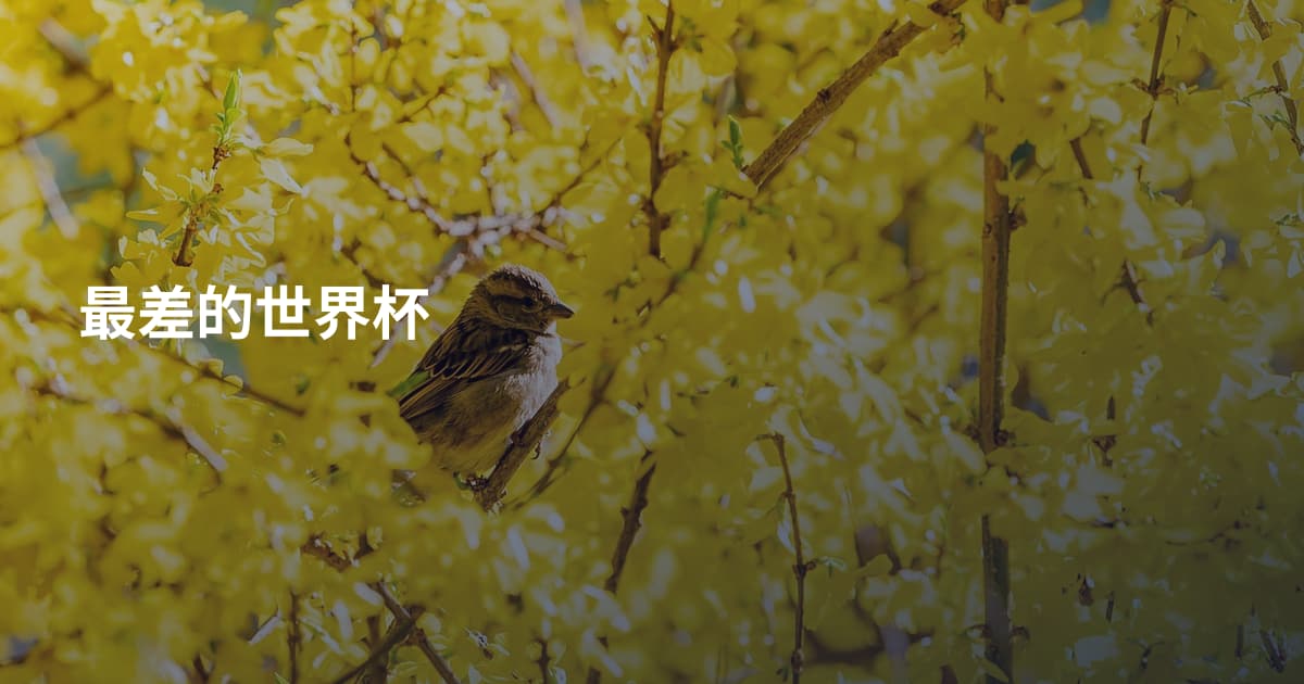 最差的世界杯