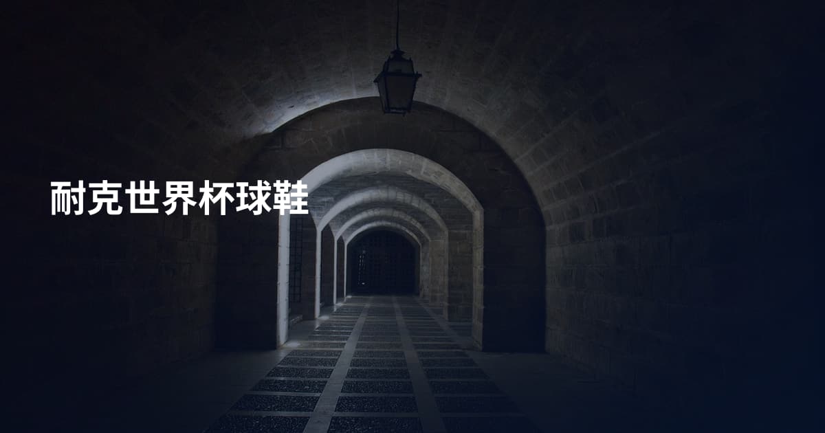 耐克世界杯球鞋