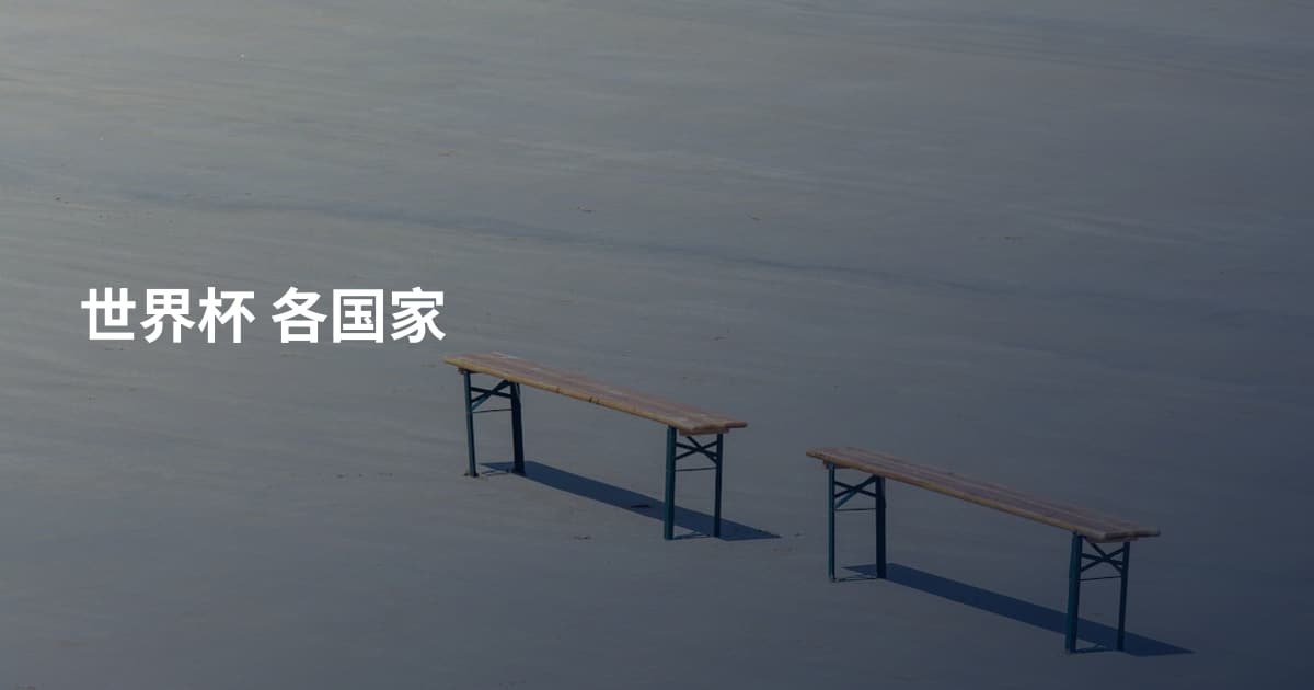 世界杯 各国家