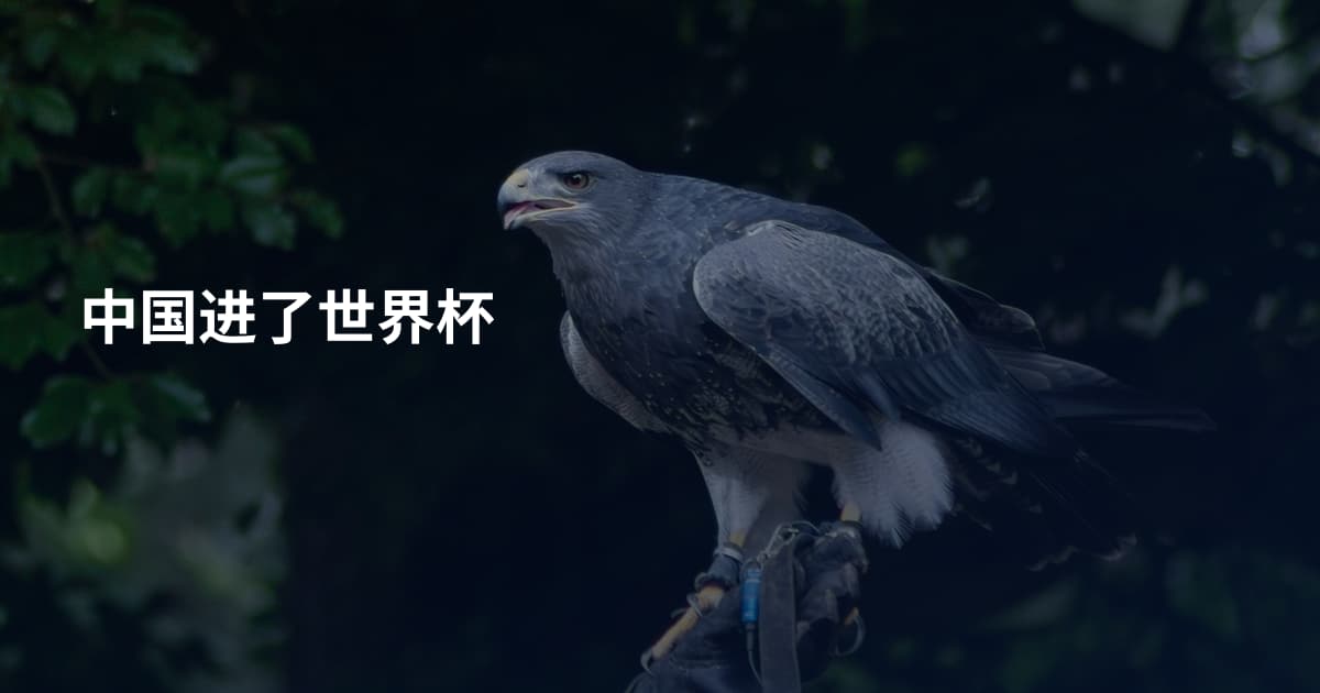 中国进了世界杯