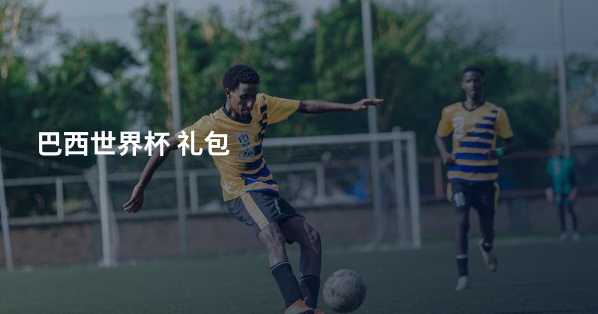 巴西世界杯 礼包