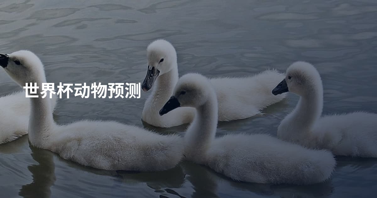 世界杯动物预测