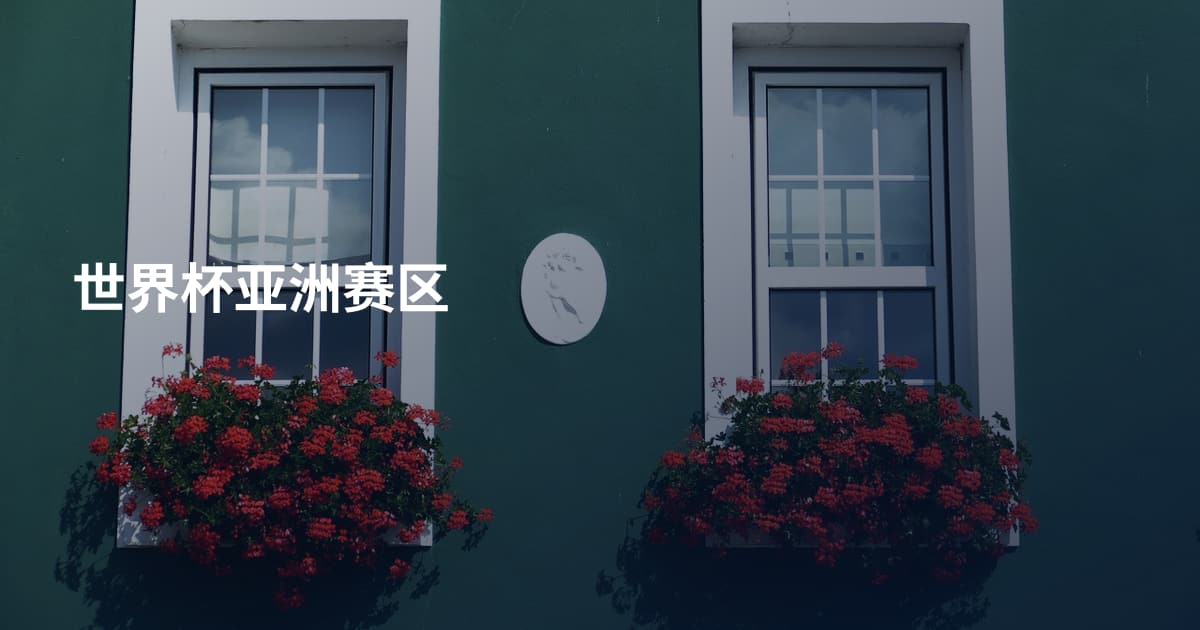 世界杯亚洲赛区