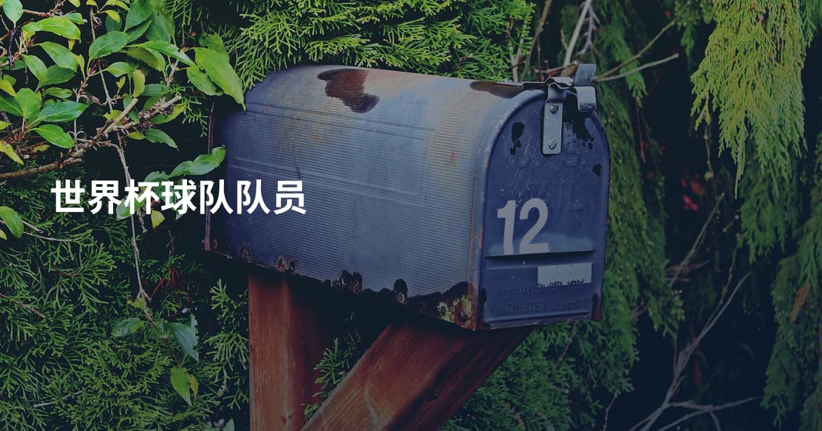世界杯球队队员