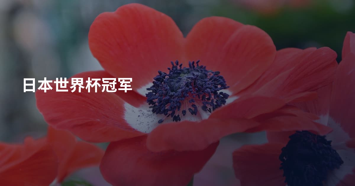 日本世界杯冠军
