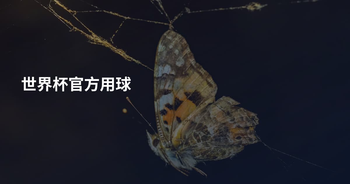 世界杯官方用球