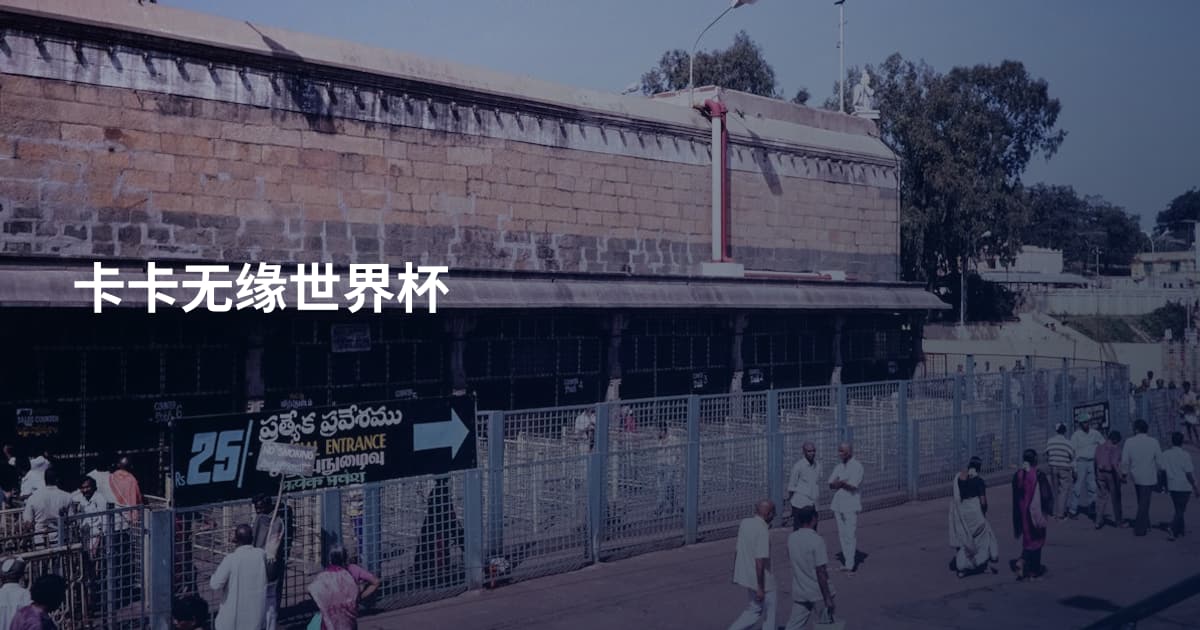 卡卡无缘世界杯