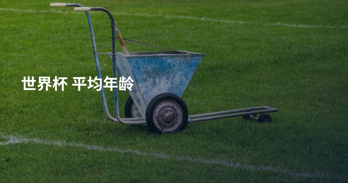 世界杯 平均年龄