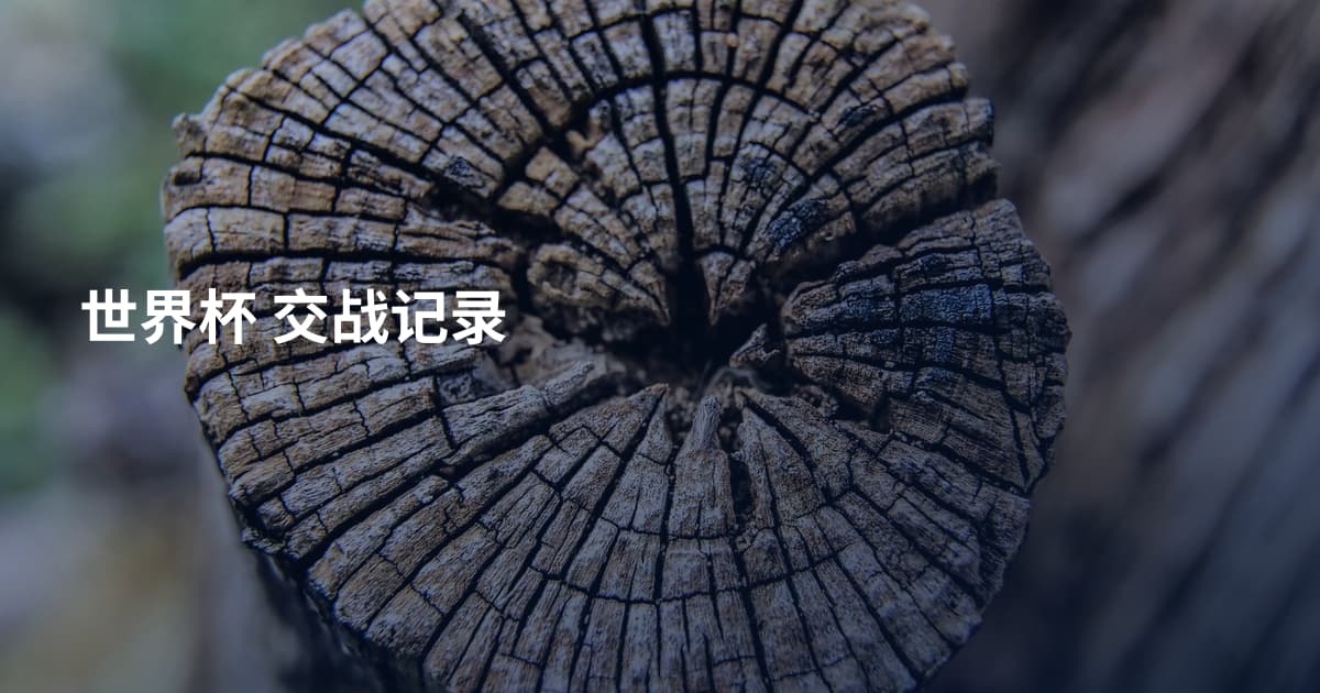 世界杯 交战记录