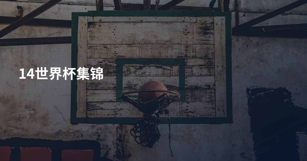 14世界杯集锦