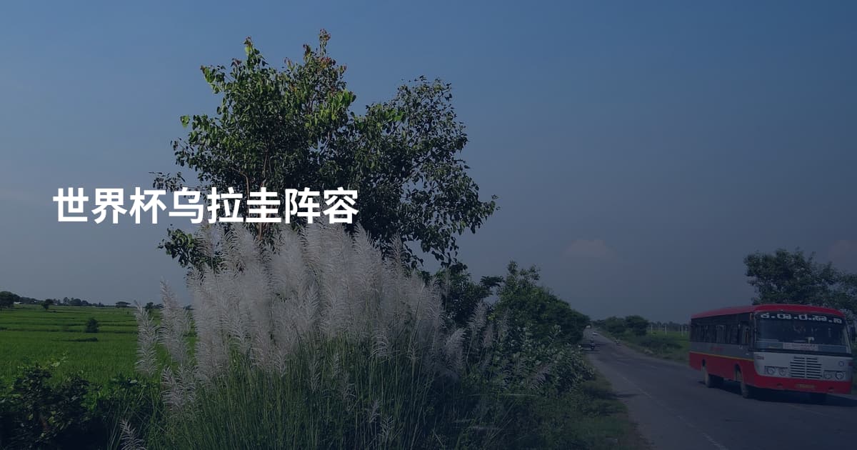 世界杯乌拉圭阵容