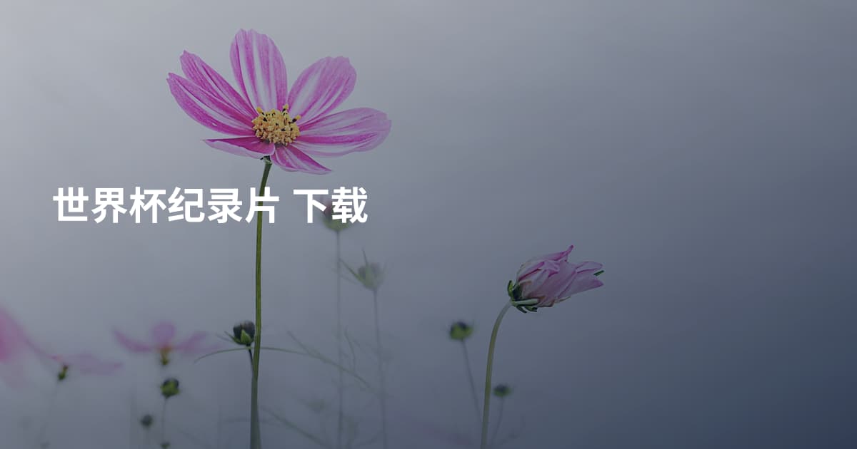 世界杯纪录片 下载