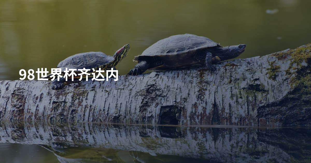 98世界杯齐达内