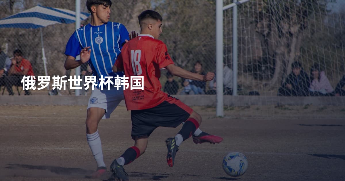 俄罗斯世界杯韩国