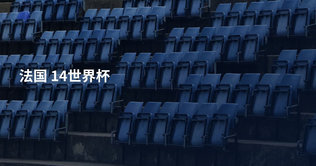 法国 14世界杯