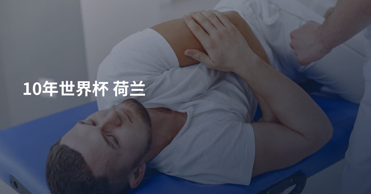 10年世界杯 荷兰
