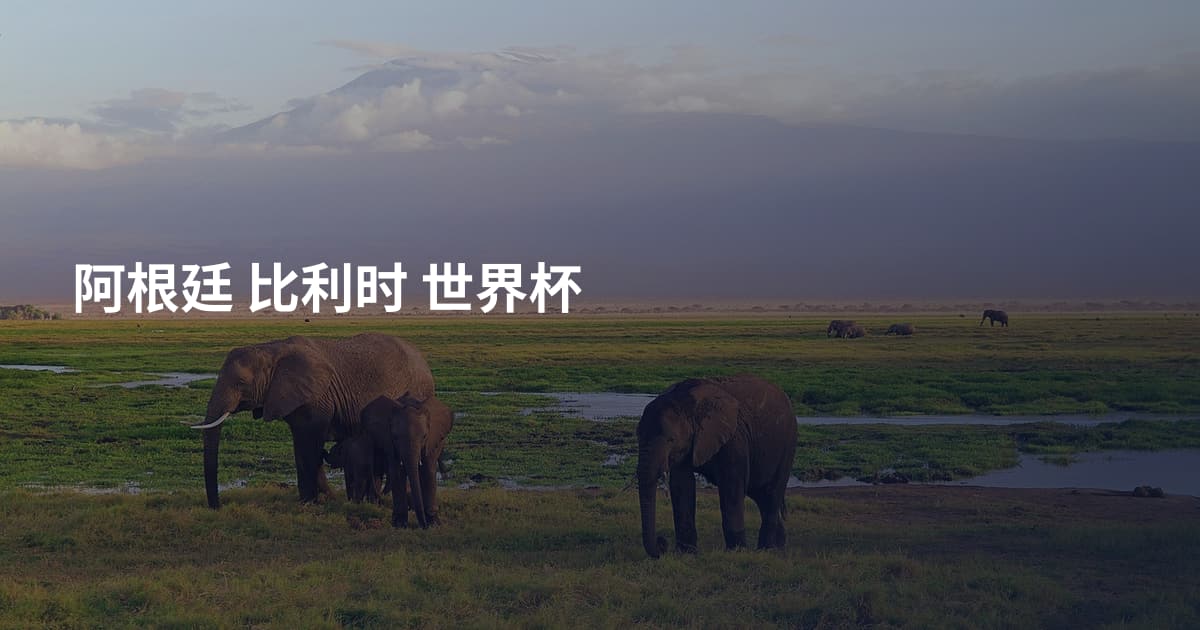 阿根廷 比利时 世界杯