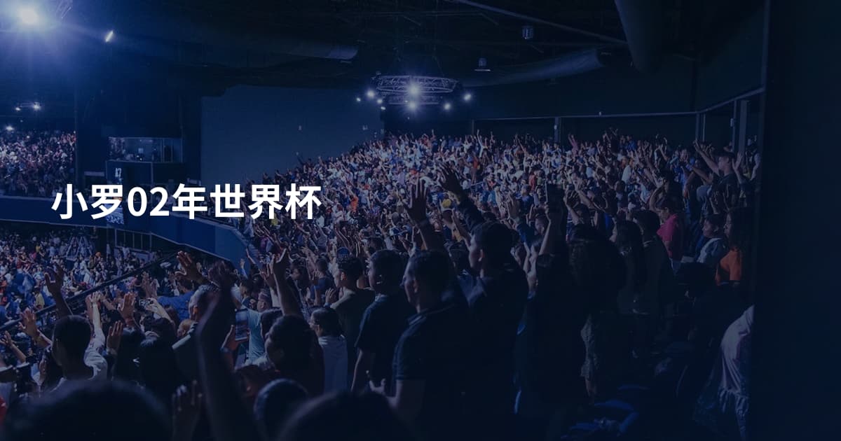 小罗02年世界杯