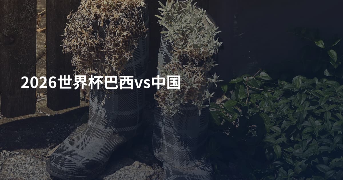 2026世界杯巴西vs中国