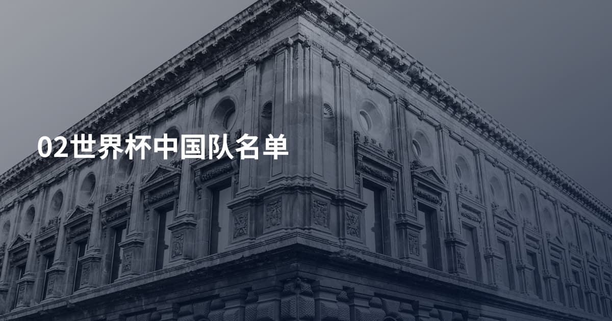 02世界杯中国队名单