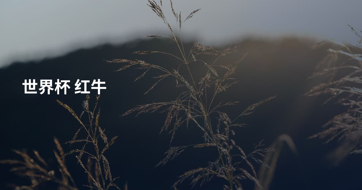 世界杯 红牛