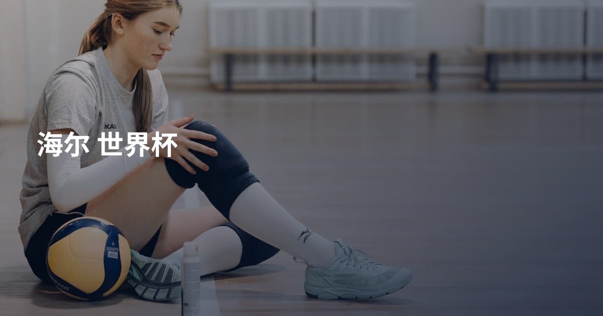 海尔 世界杯