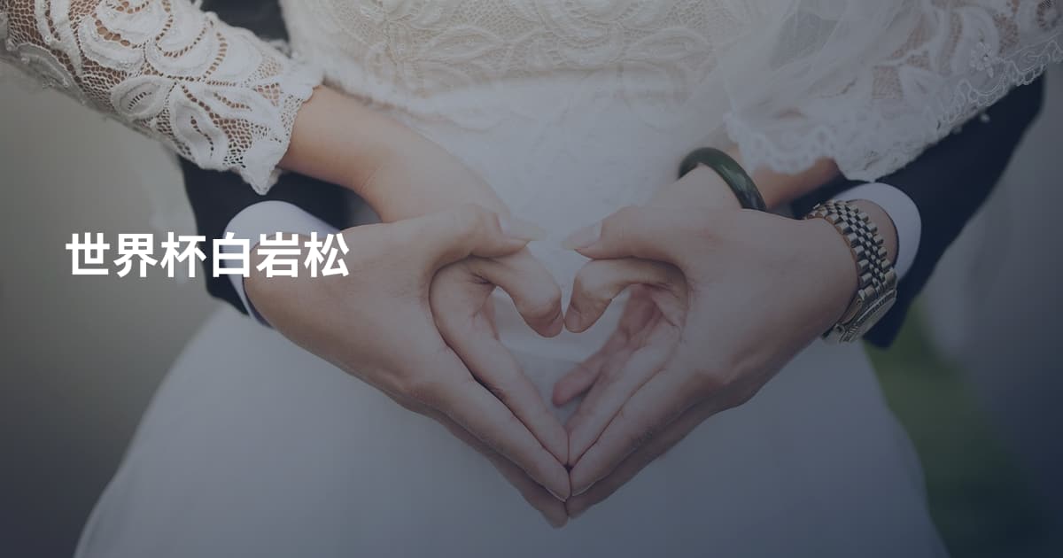 世界杯白岩松