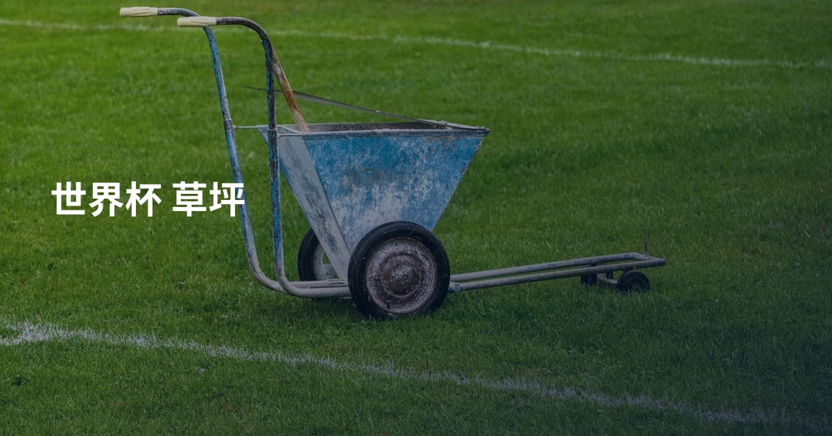 世界杯 草坪