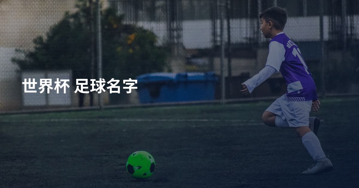 世界杯 足球名字