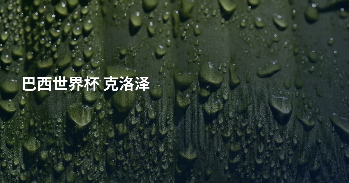 巴西世界杯 克洛泽