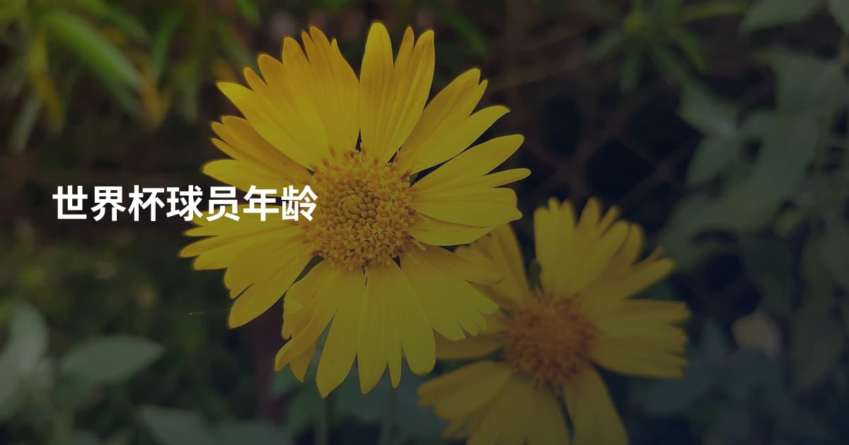 世界杯球员年龄