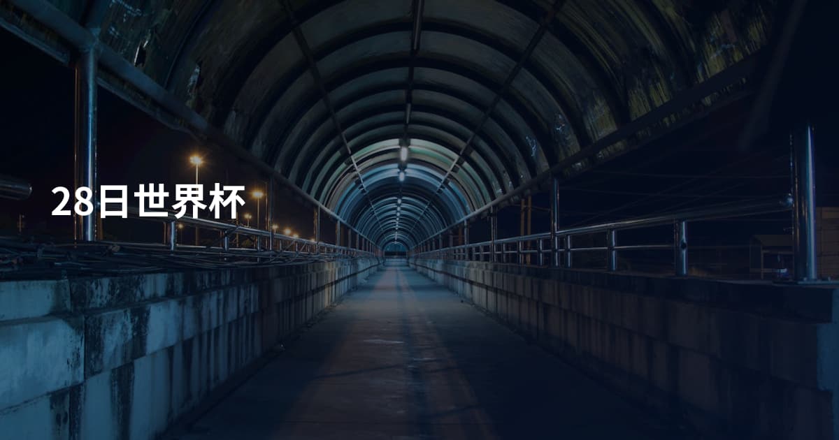 28日世界杯