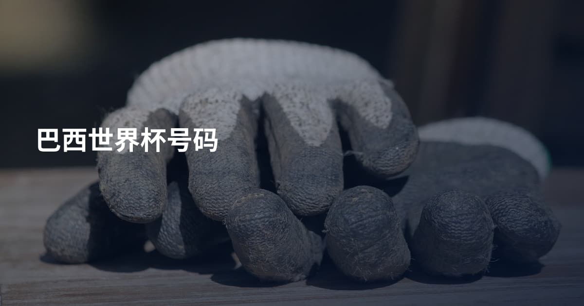 巴西世界杯号码