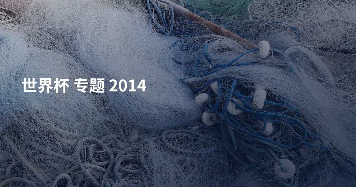 世界杯 专题 2014