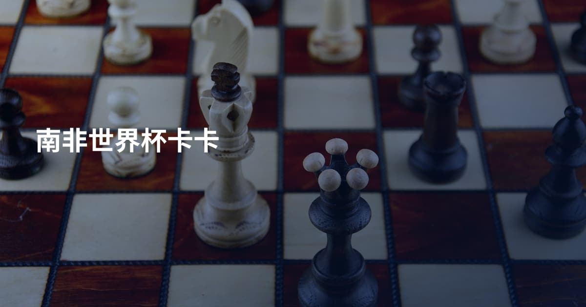 南非世界杯卡卡