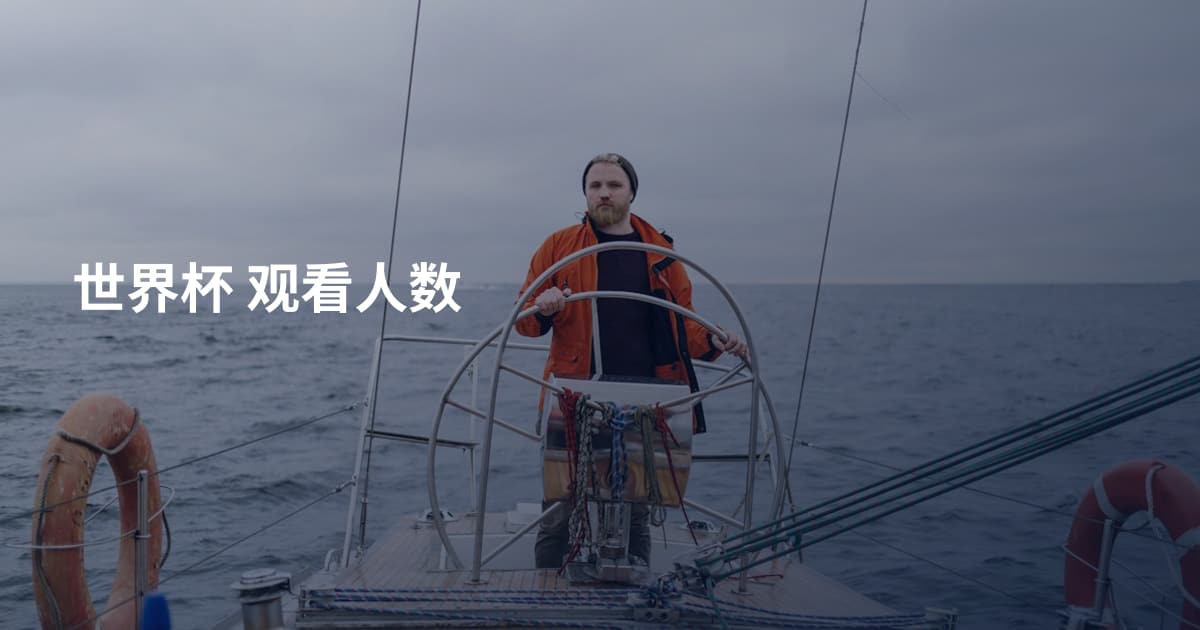 世界杯 观看人数