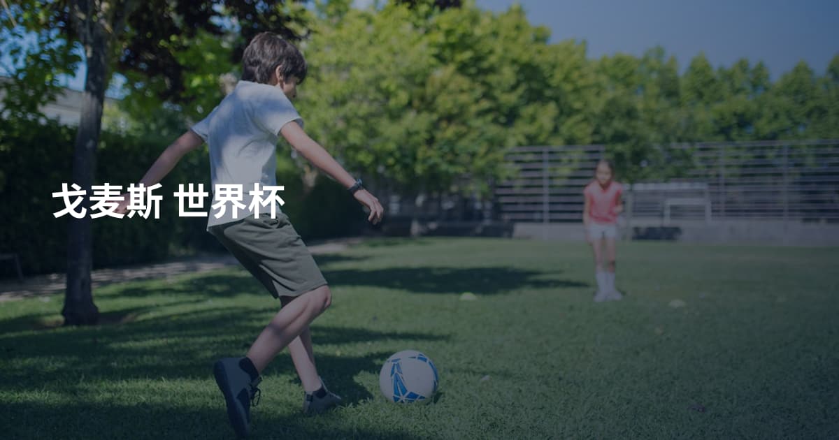 戈麦斯 世界杯