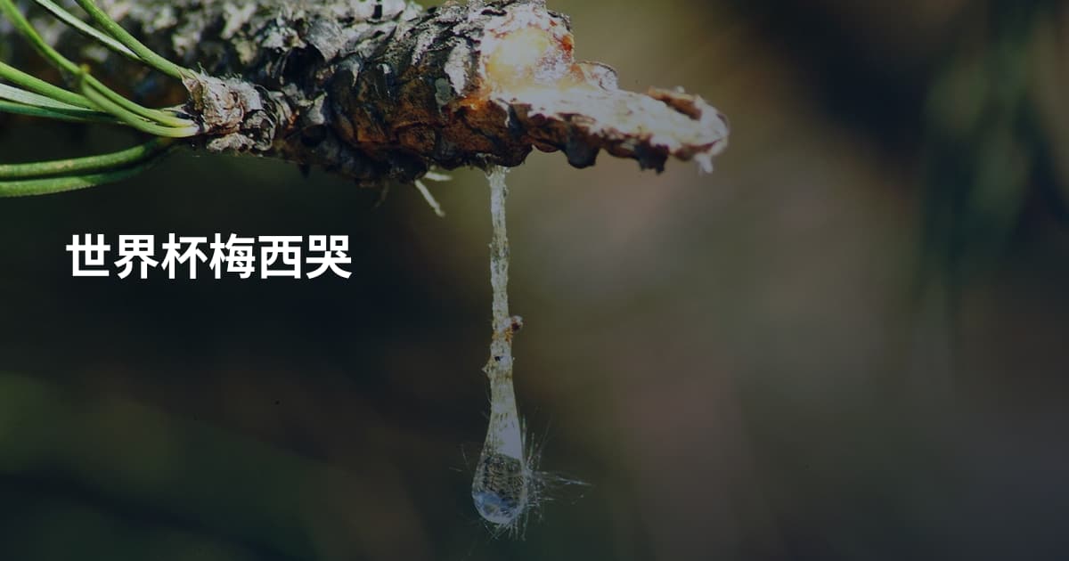 世界杯梅西哭