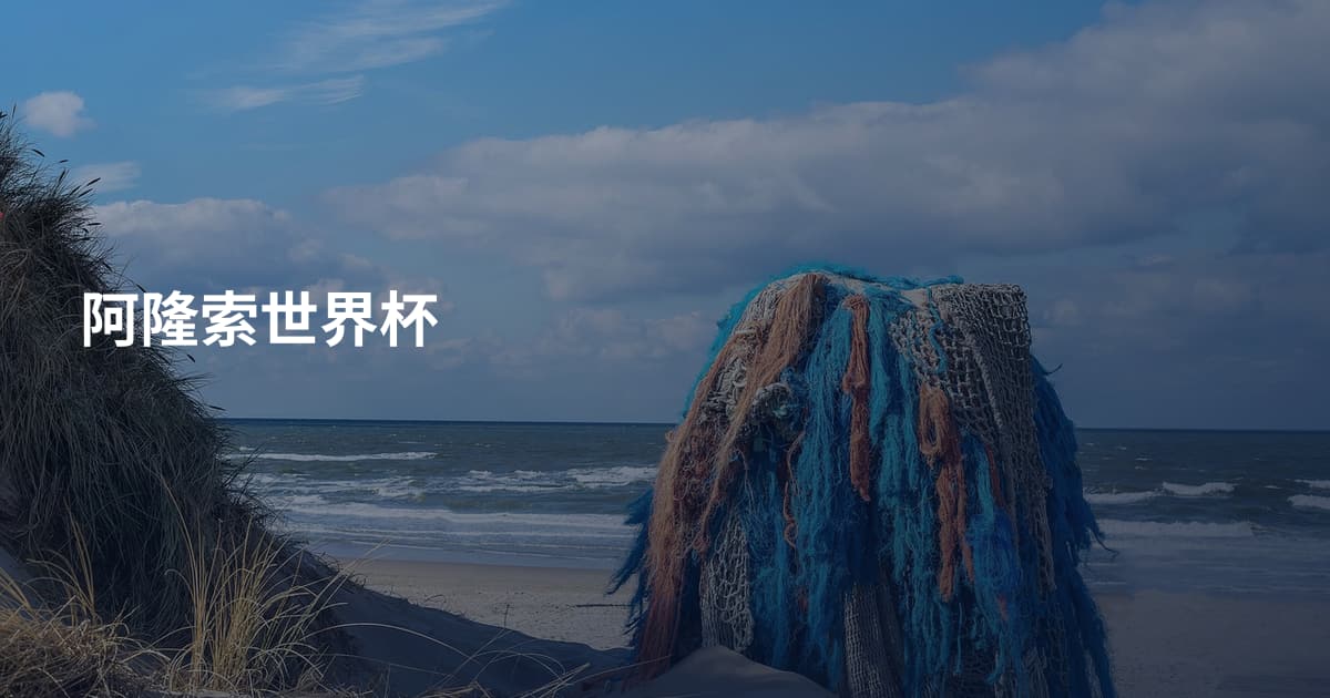 阿隆索世界杯