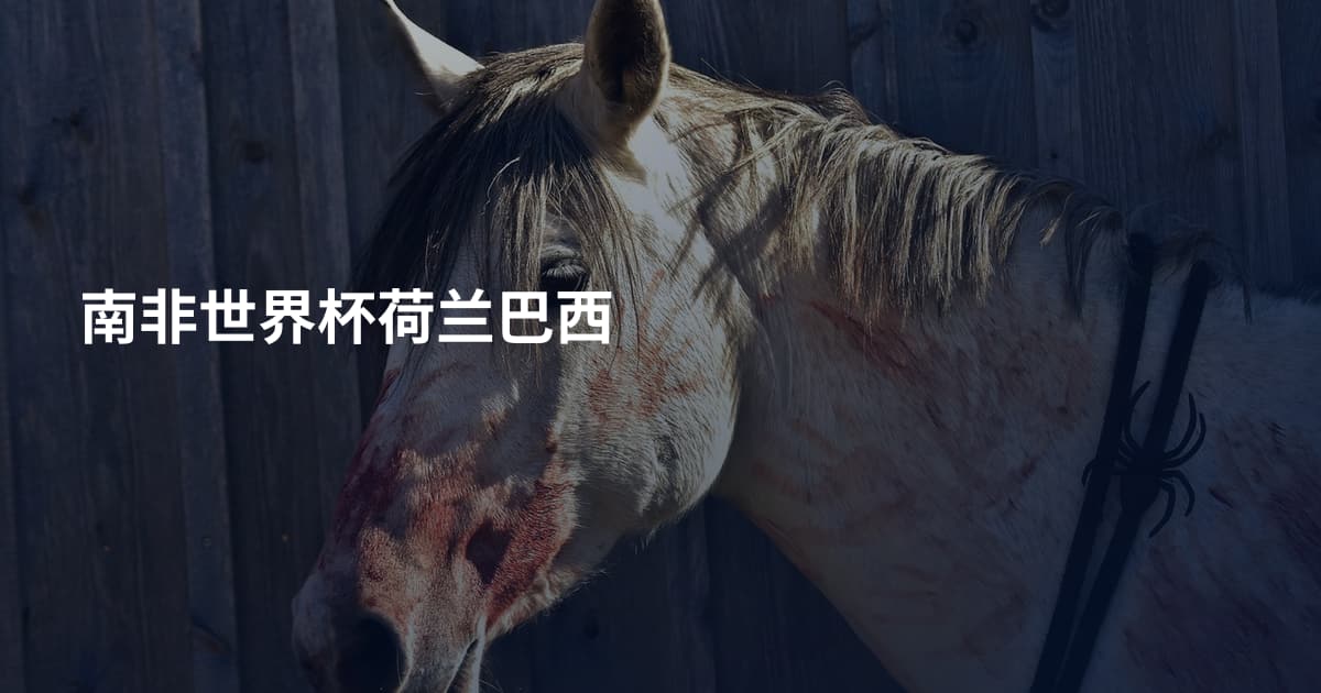 南非世界杯荷兰巴西