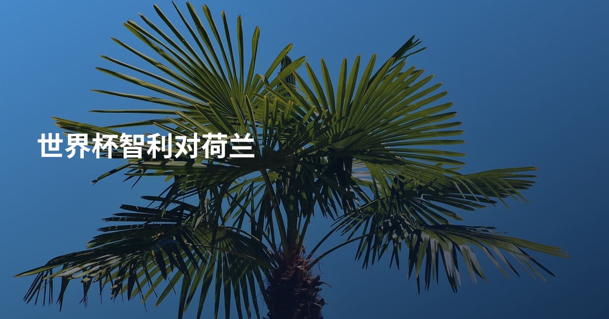 世界杯智利对荷兰