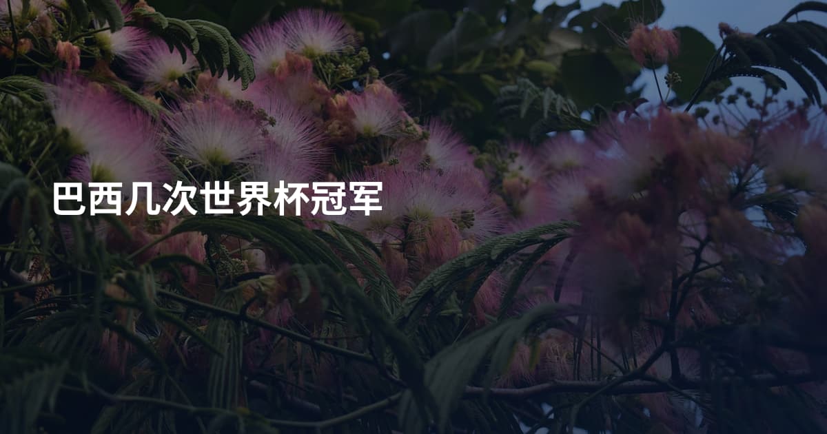 巴西几次世界杯冠军