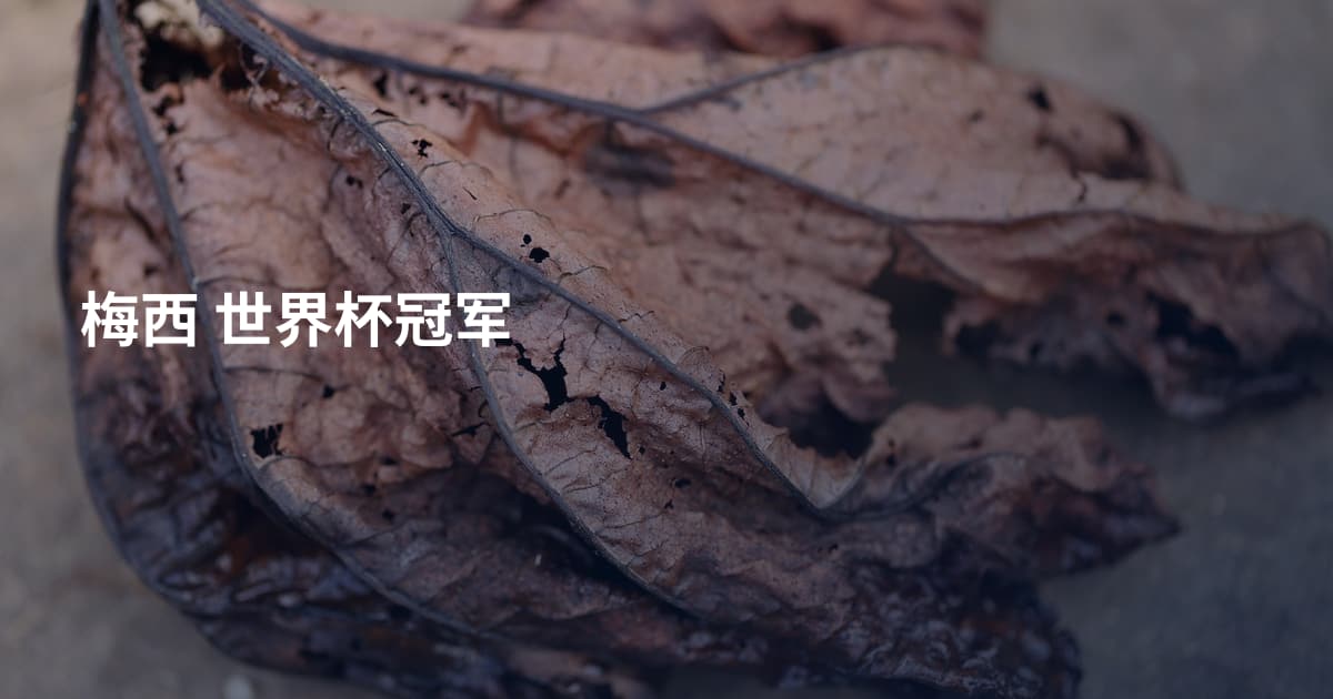 梅西 世界杯冠军