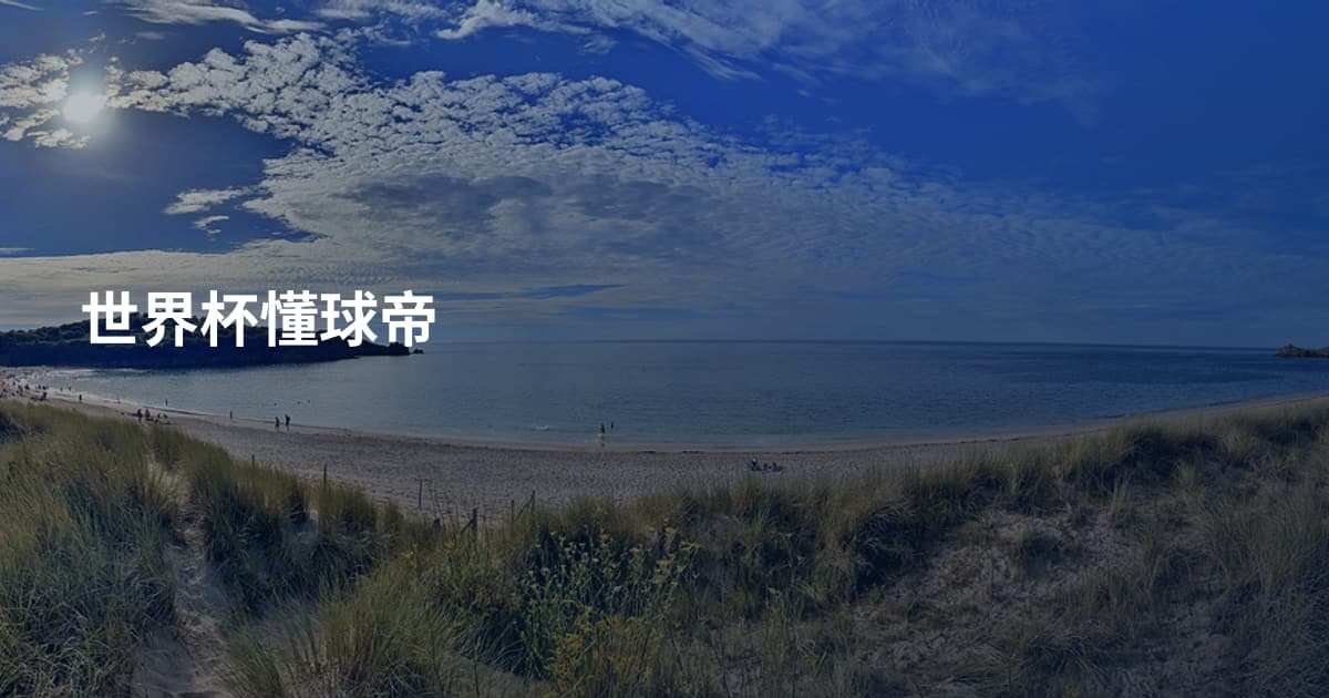 世界杯懂球帝