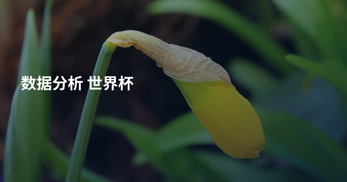 数据分析 世界杯