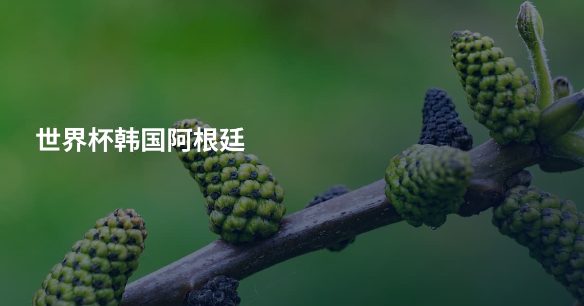 世界杯韩国阿根廷