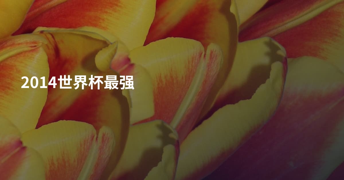2014世界杯最强
